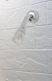 Shower Head, Chrome Finish